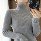 Women Knitwear Autumn and Winter Turtleneck Knitwear Sweater