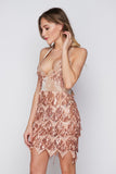 Women's Evening Gown Sexy V-neck Backless Tassel Sequins Dress