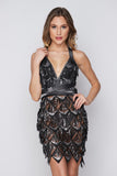 Women's Evening Gown Sexy V-neck Backless Tassel Sequins Dress