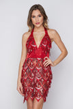 Women's Evening Gown Sexy V-neck Backless Tassel Sequins Dress