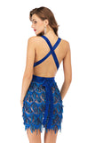 Women's Evening Gown Sexy V-neck Backless Tassel Sequins Dress