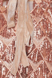 Women's Evening Gown Sexy V-neck Backless Tassel Sequins Dress