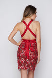 Women's Evening Gown Sexy V-neck Backless Tassel Sequins Dress