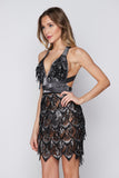 Women's Evening Gown Sexy V-neck Backless Tassel Sequins Dress