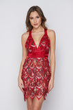 Women's Evening Gown Sexy V-neck Backless Tassel Sequins Dress