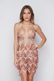 Women's Evening Gown Sexy V-neck Backless Tassel Sequins Dress