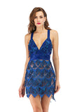 Women's Evening Gown Sexy V-neck Backless Tassel Sequins Dress