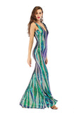 Women's Evening Gown V-neck Backless Long Stretch Sequins Dress Dress