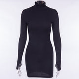 Women Dresses Slim Turtleneck Long Sleeve Narrow Dress