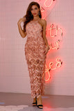 Women's Evening Gown Sexy Sling Backless Formal Dress Tassel Sequins Dress