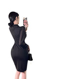 Women Maxi Dress Autumn Winter Retro Lapel Long Sleeve Mesh Dress