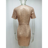 Women's Sexy V-neck Vintage Sequins Dress