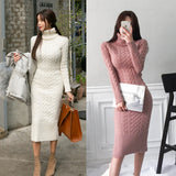 Women Maxi Dress Spring and Autumn Sexy Turtleneck Slim Fit Sheath Dress