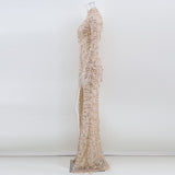 Women's Evening Gown Sexy Retro Long Sleeve See-through Sequins Dress