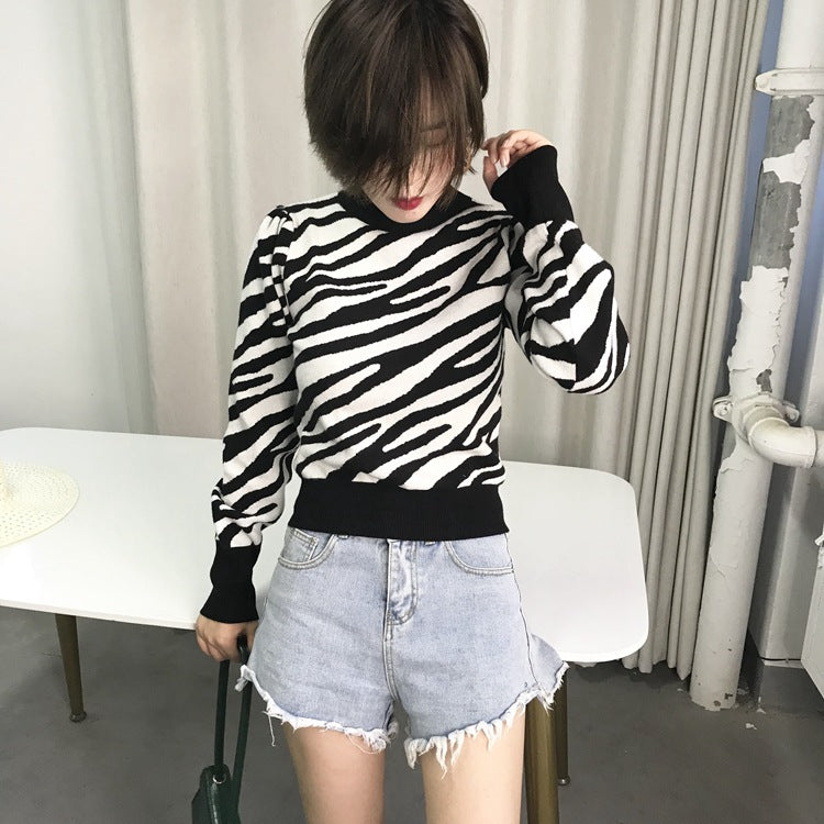 Women Sweater Knitwear Autumn and Winter Long Sleeve Loose Sweater