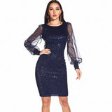 Women's Evening Gown Sexy Mesh Stitching Sequins Dress Casual Dress