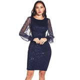 Women's Evening Gown Sexy Mesh Stitching Sequins Dress Casual Dress