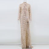Women's Evening Gown Sexy Retro Long Sleeve See-through Sequins Dress