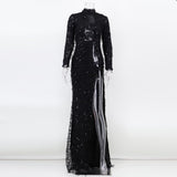 Women's Evening Gown Sexy Retro Long Sleeve See-through Sequins Dress