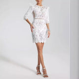 Women's Evening Dress round Neck Hollow Lace Slim-Fit Sheath Dress