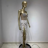 Women Dresses Party Dress (Ont0408)