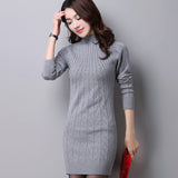 Women Maxi Dress Autumn and Winter Turtleneck Long Sleeve Long Knitted Dress