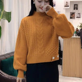 Women Knitted Pullover Autumn and Winter Turtleneck Sweater Retro Loose Sweater