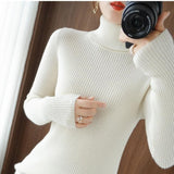 Women Knitwear Autumn and Winter Turtleneck Knitwear Sweater