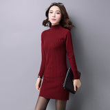 Women Maxi Dress Autumn and Winter Turtleneck Long Sleeve Long Knitted Dress