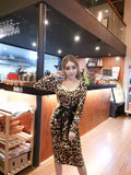 Women Maxi Dress Spring and Autumn Long Sleeve Leopard-Print Sheath Dress