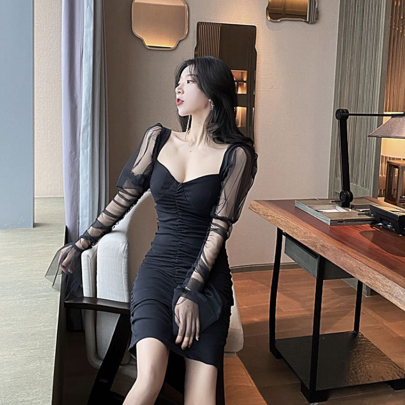 Women Maxi Dress Autumn Winter Sexy Mesh Long Sleeve Narrow Dress
