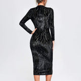 Women Evening Dress Mesh Sexy Transparent Dress round Neck Long Sleeve