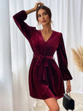 Women Dress Autumn and Winter V-neck Velvet Sexy Dress