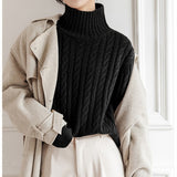 Women Knitwear Autumn and Winter Turtleneck Knitwear Slim Fit Sweater