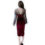 Women Maxi Dress Autumn and Winter Mesh Long Sheath Dress