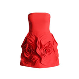 Women Dresses Spring Dress Short Skirt (Qymy0409)