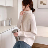 Women Knitted Pullover Turtleneck Sweater Autumn Winter Sweater Top