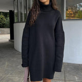 Ladies Leisure Knitwear Autumn and Winter Turtleneck Sweater Long Sleeve Knitwear