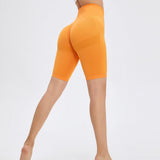 Women Yoga Sports Shorts Fitness Shorts Quick-Drying Yoga Shorts