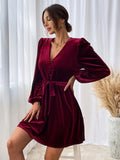 Women Dress Autumn and Winter V-neck Velvet Sexy Dress