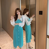 Women Maxi Dress Autumn Winter Sexy Chiffon Long Sleeve Knitted Sheath Dress