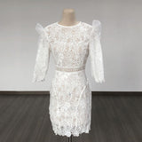 Women's Evening Dress round Neck Hollow Lace Slim-Fit Sheath Dress