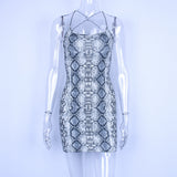 Women Dresses Spring/Summer Sling Dress