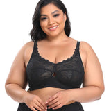 Full figure bra lace thin section