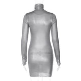 Women Dresses Winter Sexy Slim Turtleneck Long Sleeve Narrow Dress