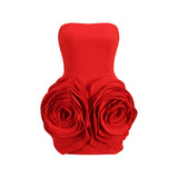 Women Dresses Sexy Dress Short Skirt Dress Skirt (Zns0409)
