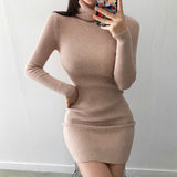 Women Dresses Autumn and Winter Turtleneck Black Knitted Dress