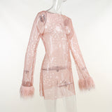 Women Dresses Mesh Dress Sexy Dress (Bla0420)