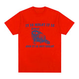 It Is What It Is and It Is Not Great T Shirt Funny Raccoon