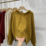 Women Knitted Pullover Spring and Autumn Sweater Women's Loose Long Sleeve Hooded Sweater Sweater